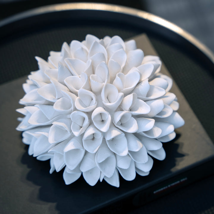 Ocean Bloom