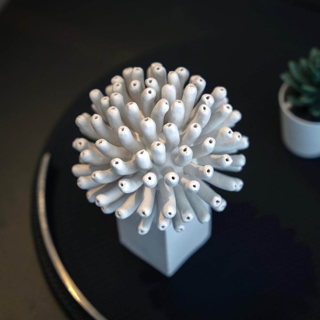Nova Bloom