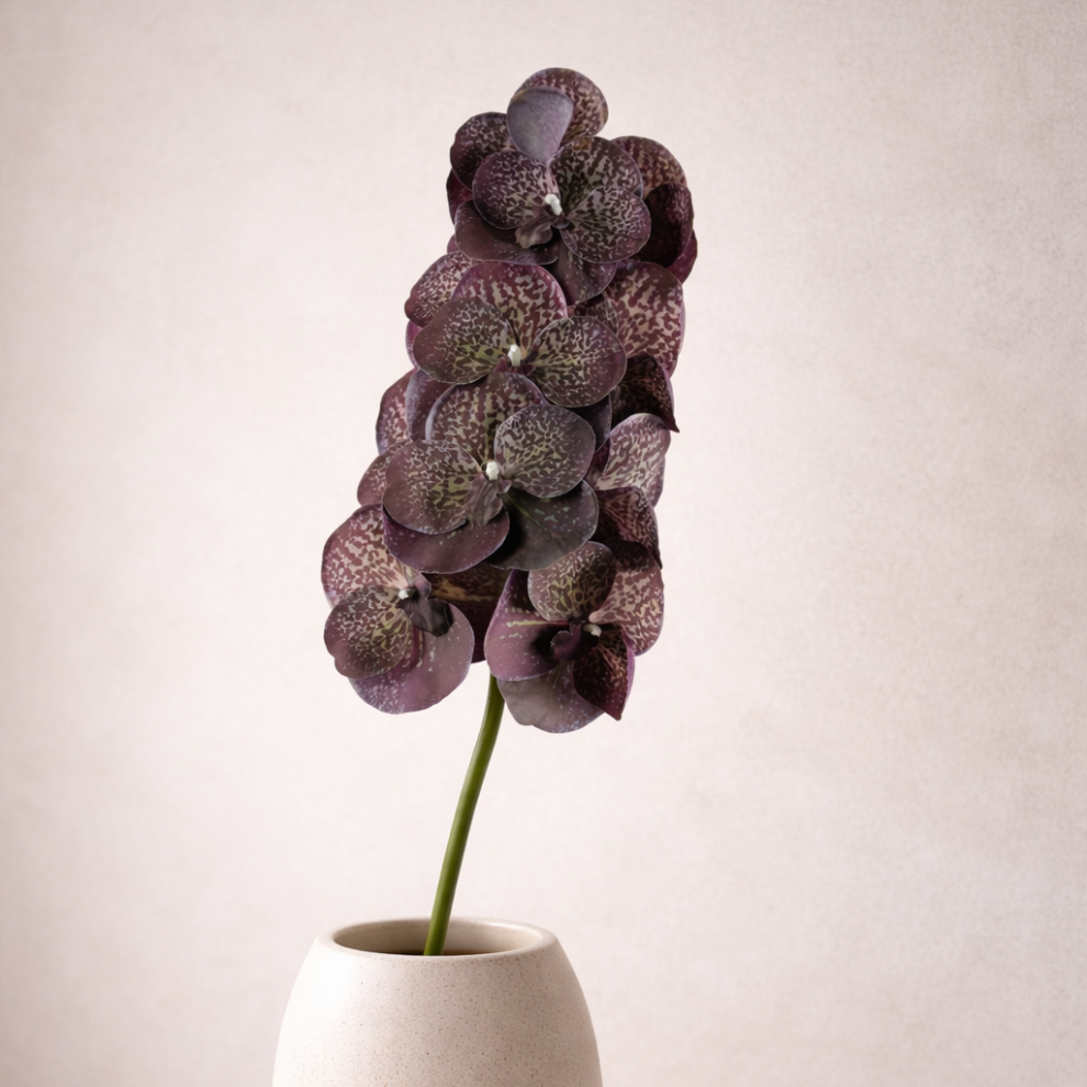 Smoky Violet Orchids