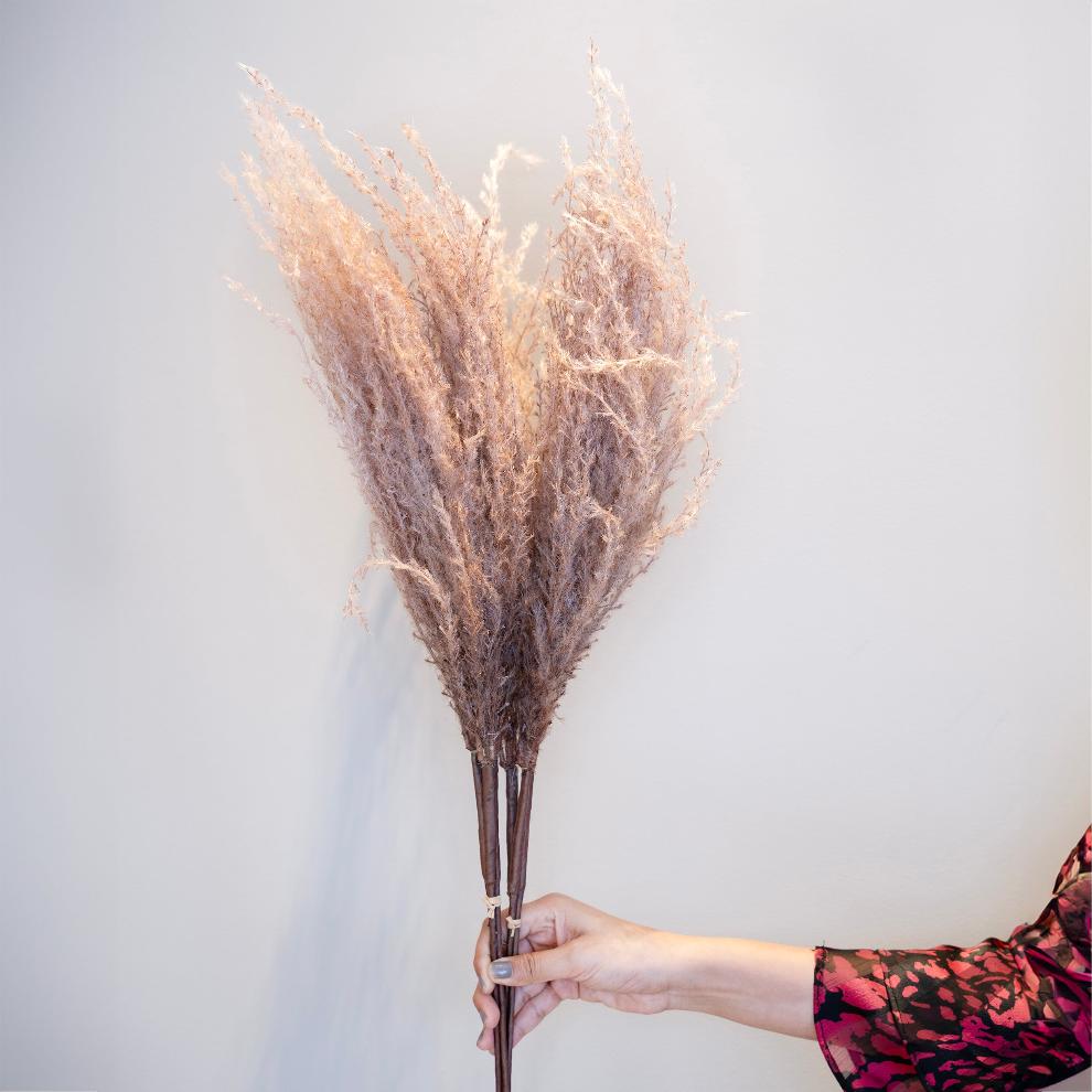 Creamy Beige Pampas Grass