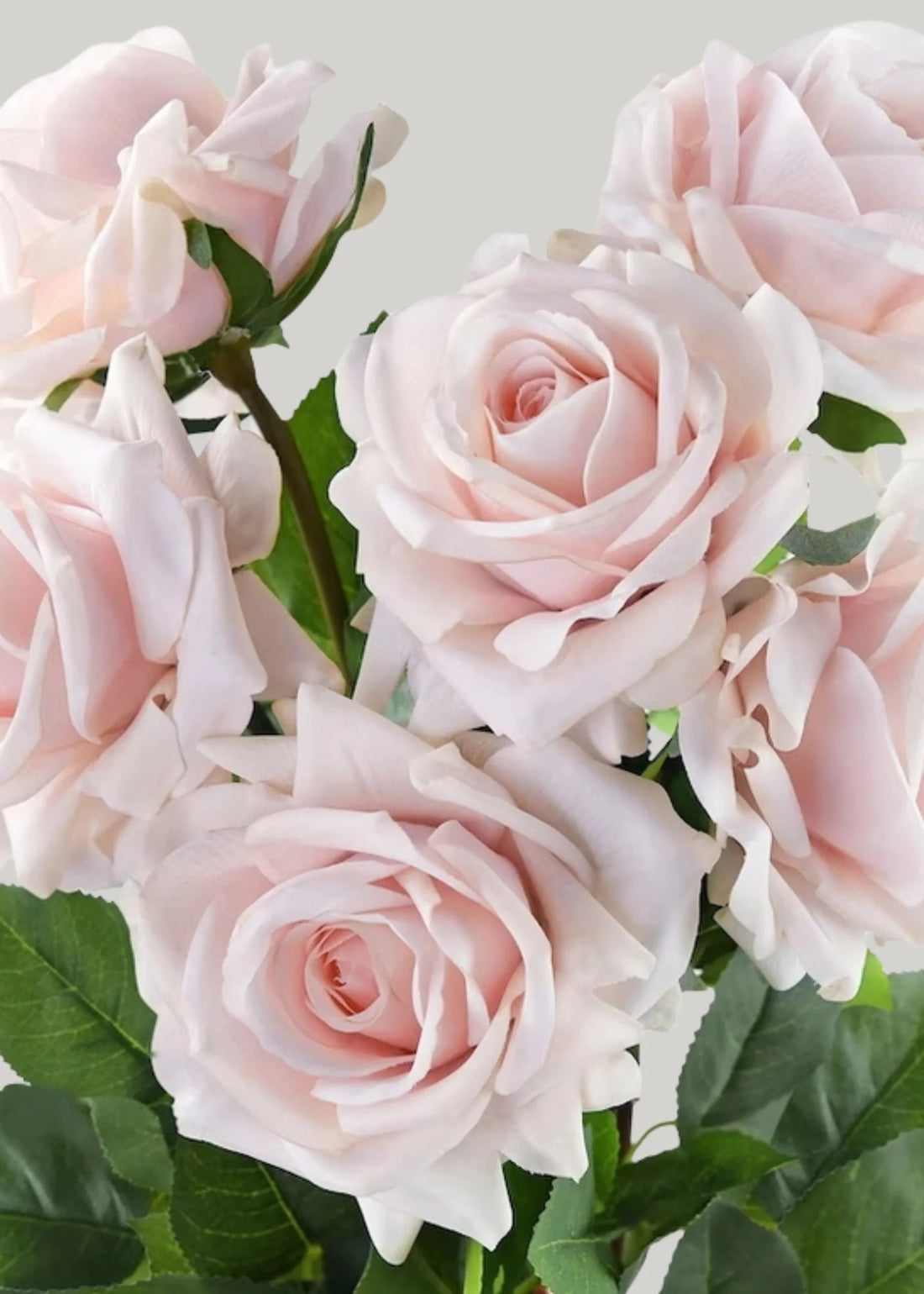 Petal Pink Rose Spray Single